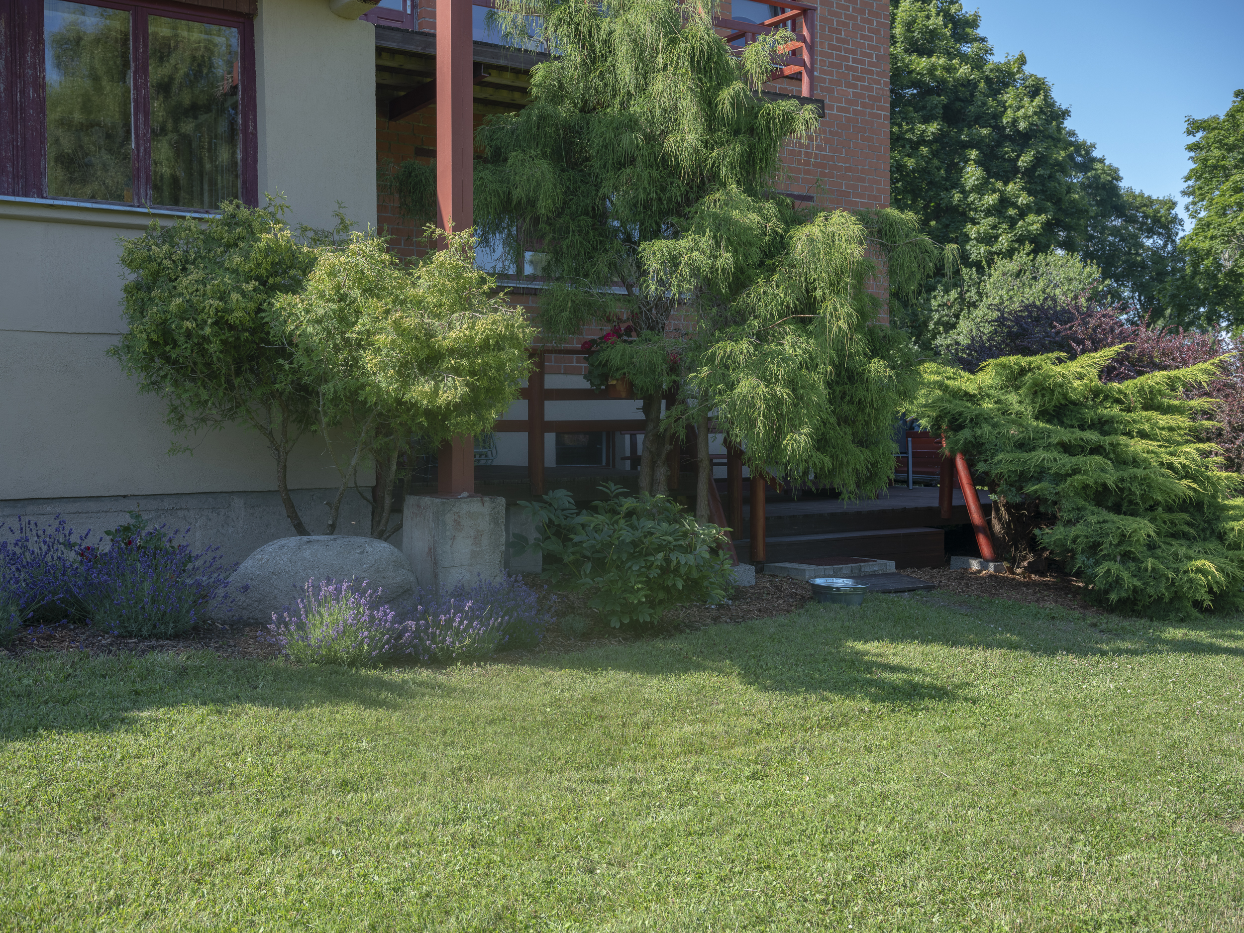 01_Vanaturs_21072025-by-G_Avetisjans-15